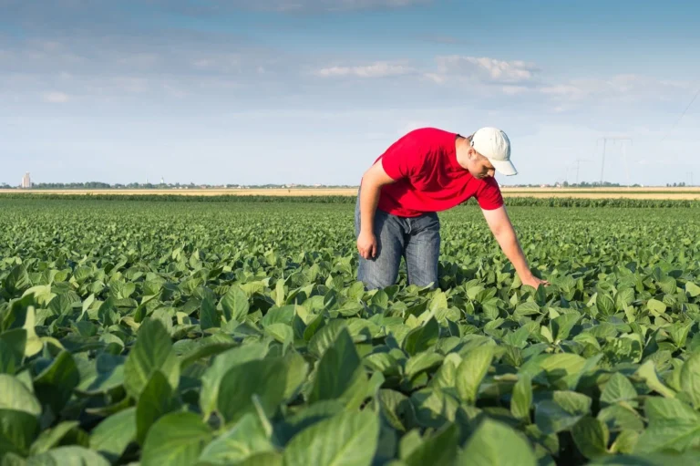 Lire la suite à propos de l’article L’Ouvrier Agricole Roumain : Un Pilier de l’Agriculture Européenne