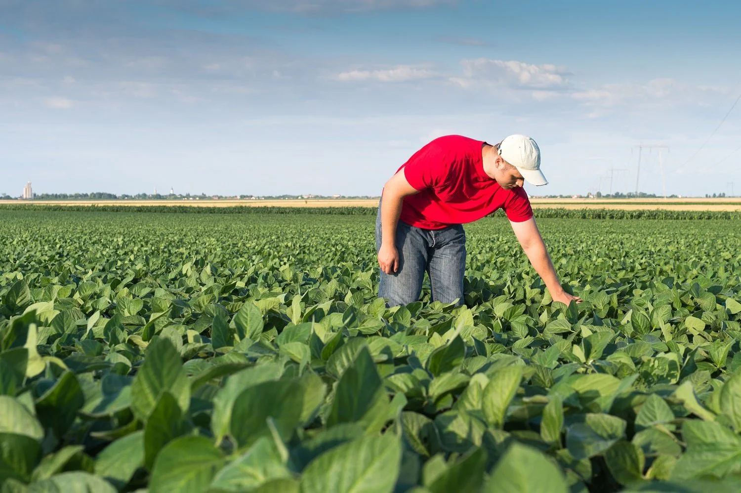 You are currently viewing L’Ouvrier Agricole Roumain : Un Pilier de l’Agriculture Européenne